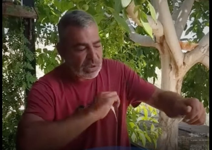 ولاء عيتيت .. من "ناقم" على "حزب الله" الى مطلوب "قتيل"