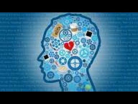 لذاكرة حديدية.. 7 مهارات يستخدمها أبطال العالم