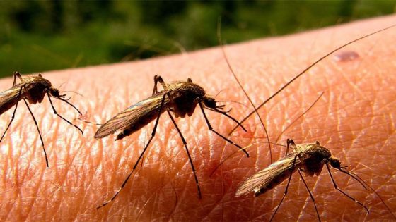 أوروبا تسجّل مستويات غير مسبوقة من الأمراض المنقولة عبر البعوض