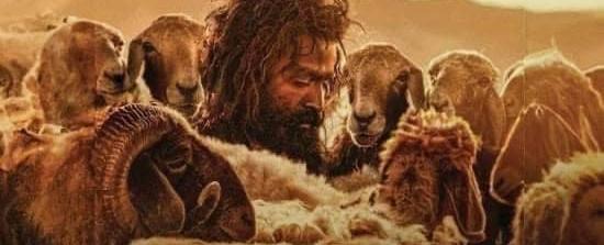 "حياة الماعز".. تشويه للسعودية أم واقع حقيقي؟