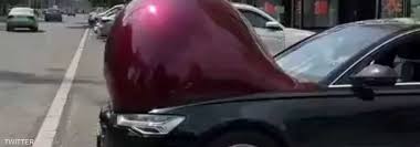 السيارات في الصين.. "حامل"!