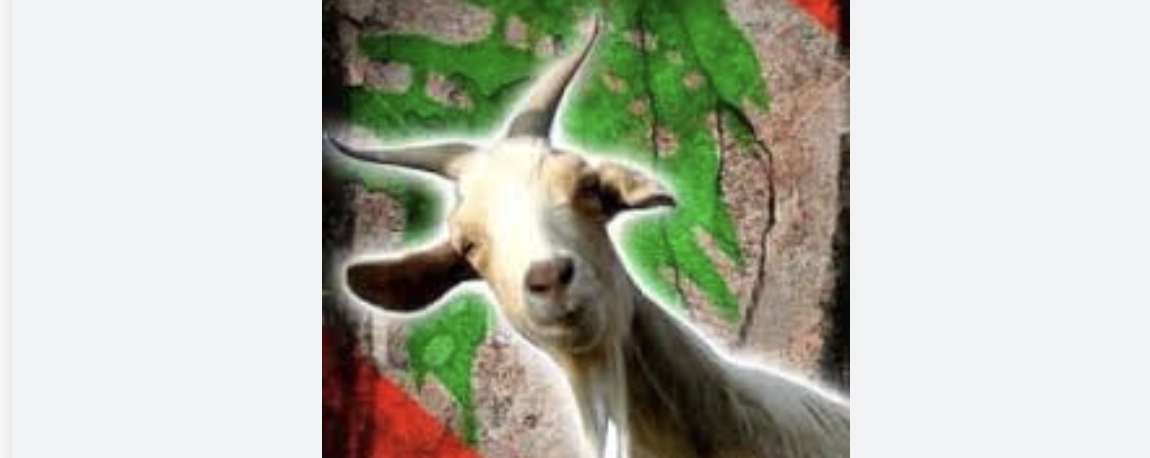 مثل اليوم من نيوزاليست: "نيال اللي إلو مرقد عنزه بجبل لبنان" 