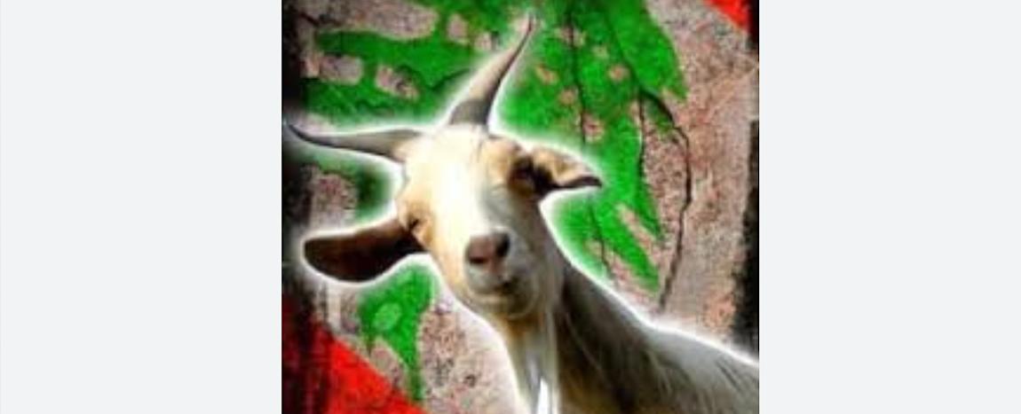 مثل اليوم من نيوزاليست: "نيال اللي إلو مرقد عنزه بجبل لبنان"