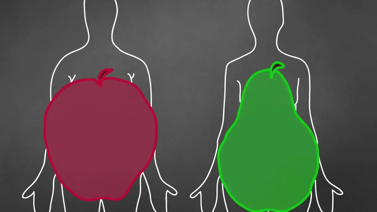 الجسم بشكل التفاحة أم الإجاصة.. أيهما يهدّد صحّة القلب؟ 