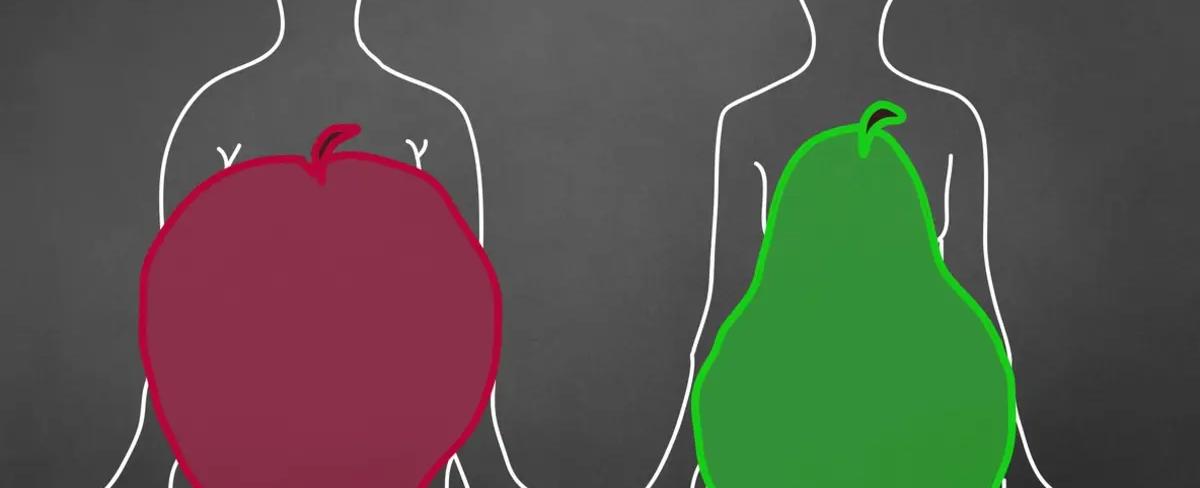 الجسم بشكل التفاحة أم الإجاصة.. أيهما يهدّد صحّة القلب؟