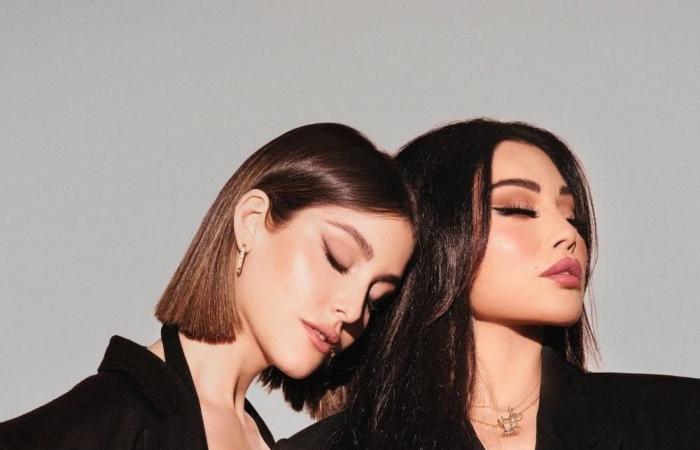  مصيبة "التحرّش الإلكتروني" تجمع   نور عريضة بهيفاء وهبي  