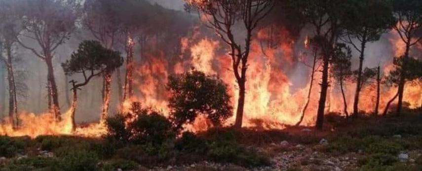 اجتماع أميركي- إسرائيل لاحتواء التصعيد على جبهة لبنان وهذا ما طلبته تل أبيب