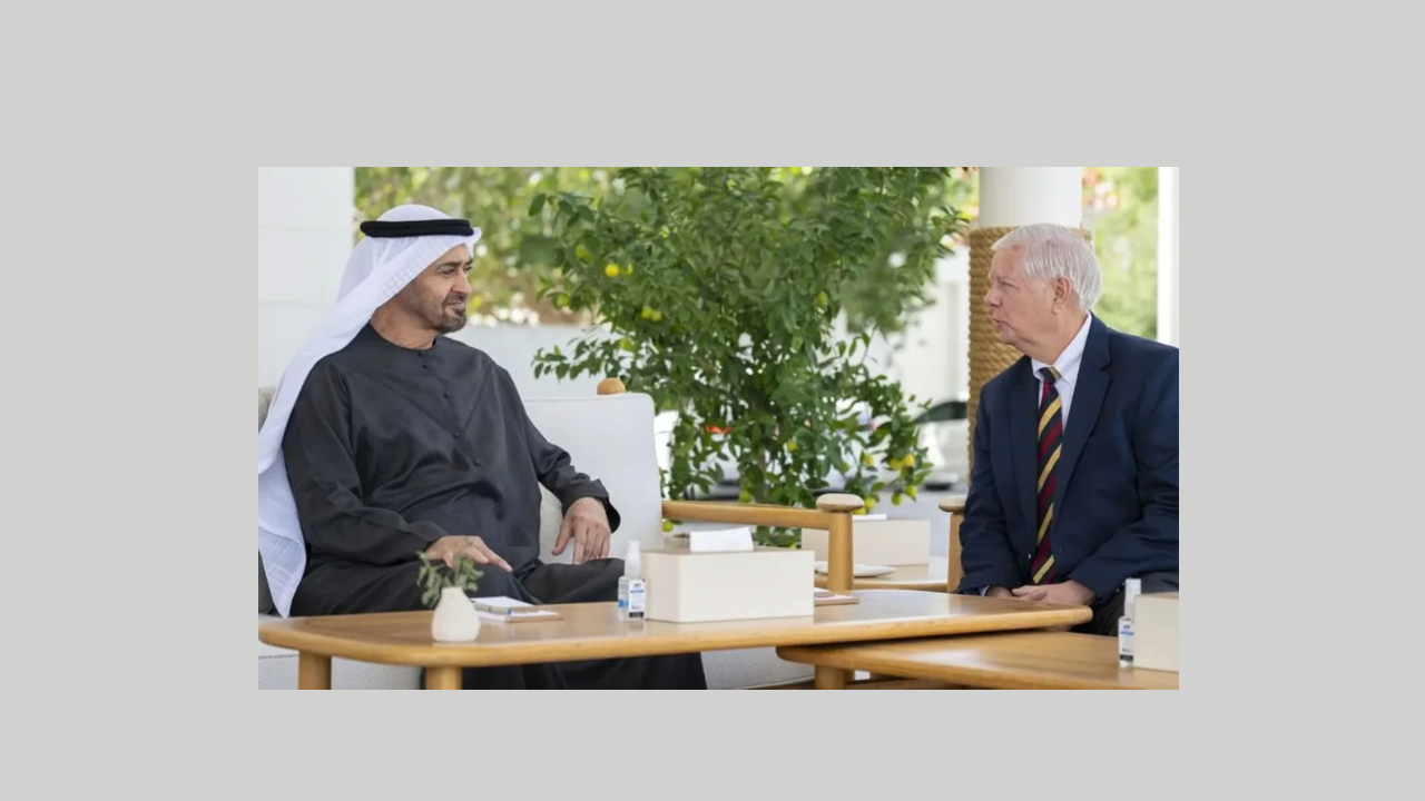 اتهام جهات تقيم بتركيا في ذلك.. هجوم بالشائعات على  حياة رئيس الإمارات 