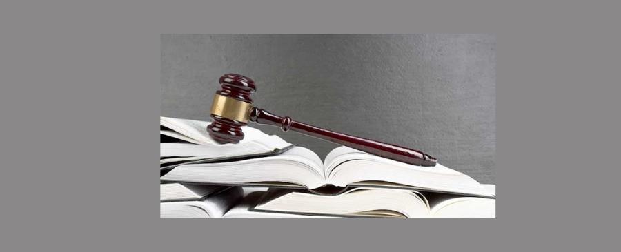 دساتير أكلتها الحمير