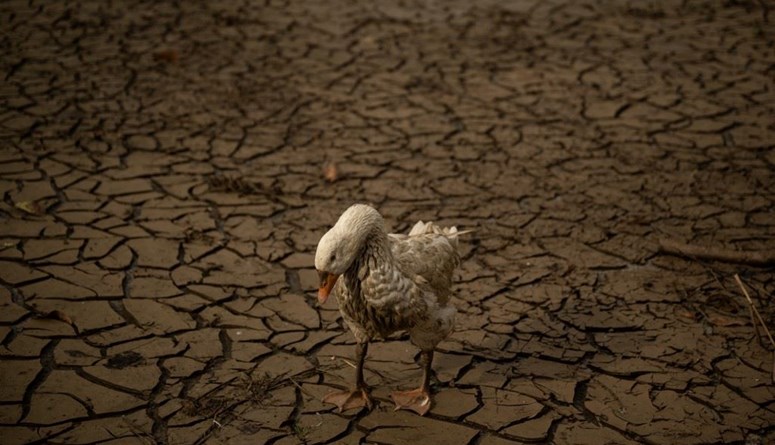 ضرب الرقم القياسي عالمياً.. أيلول "ذيله بالحر مبلول"!
