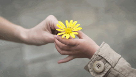 People pleasing.. متى يصبح إرضاء الآخرين مضراً لصحتك النفسية