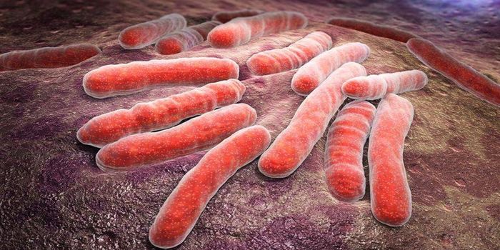 وفاة شخص وإصابة العشرات بأميركا جراء عدوى بكتيرية مرتبطة بـ«ماكدونالدز»