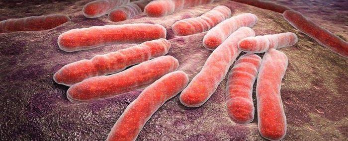 وفاة شخص وإصابة العشرات بأميركا جراء عدوى بكتيرية مرتبطة بـ«ماكدونالدز»