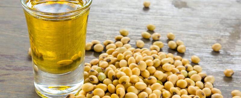 دراسة تقلب الموازين.. "زيت شائع" يسبب زيادة الوزن