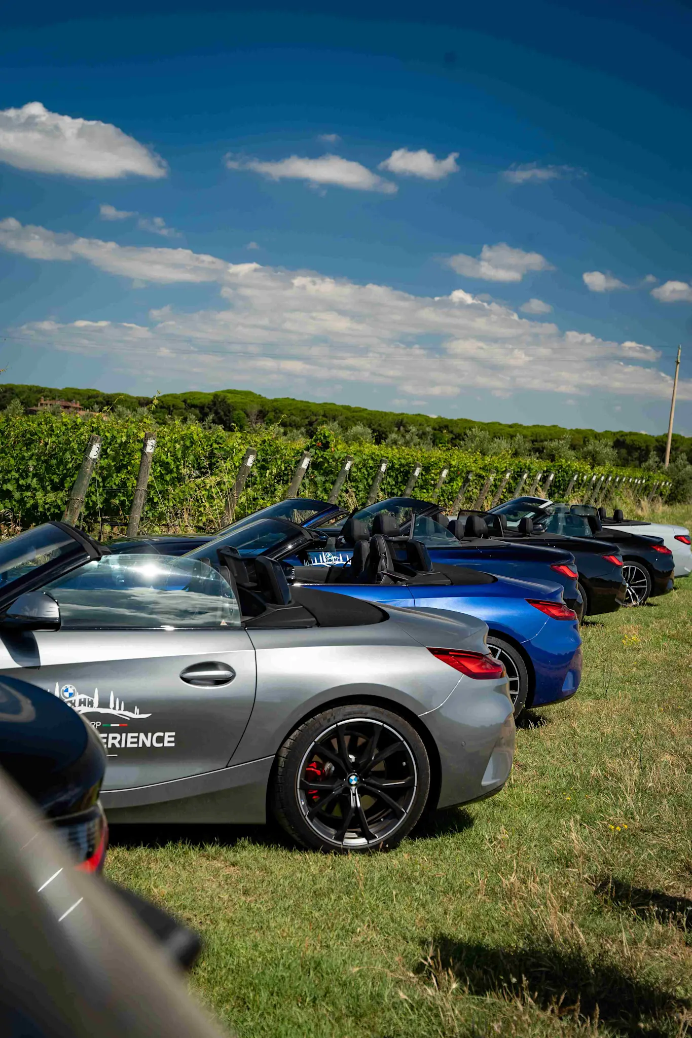 DSC00760-Hersteld.ARW 0005 DSC00700 11zon