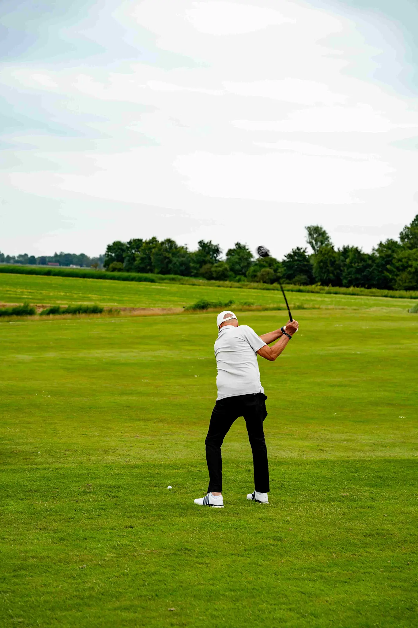 DSC07992 0020 DSC08239 11zon