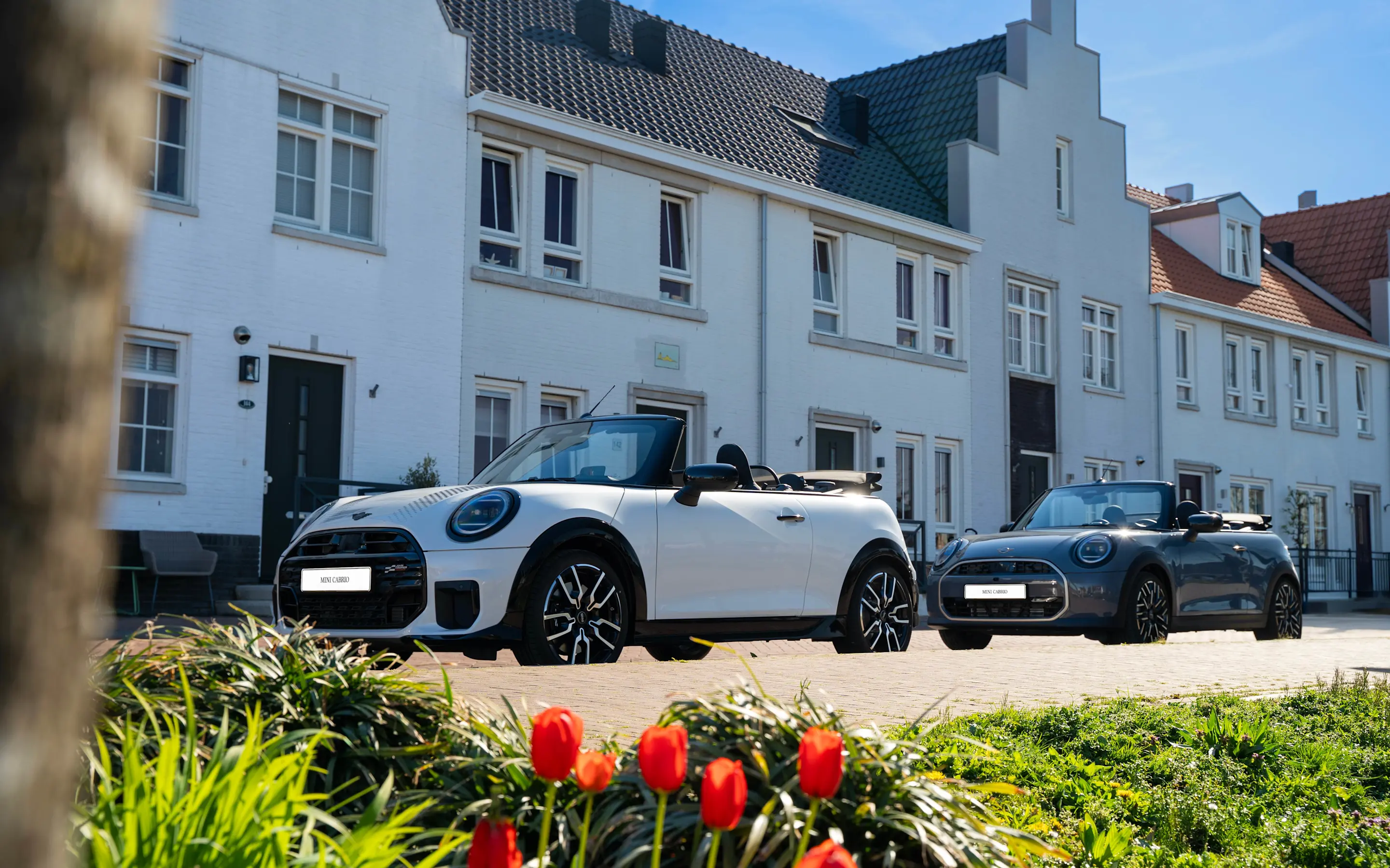 MINI - Mediapost - Net zo knap zonder dak - Private Lease - Afbeelding