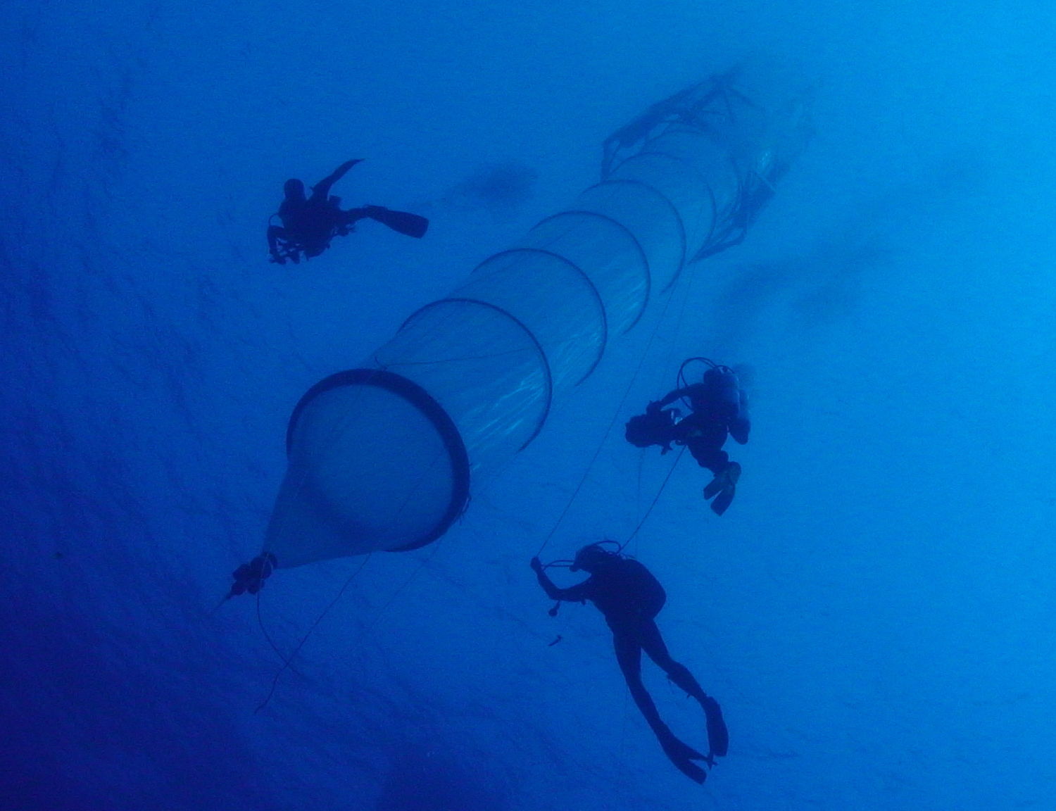 Mesocosm with Divers