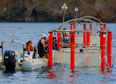 view of two sampling boats