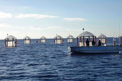 KOSMOS sampling (photo by Javier Aristegui)