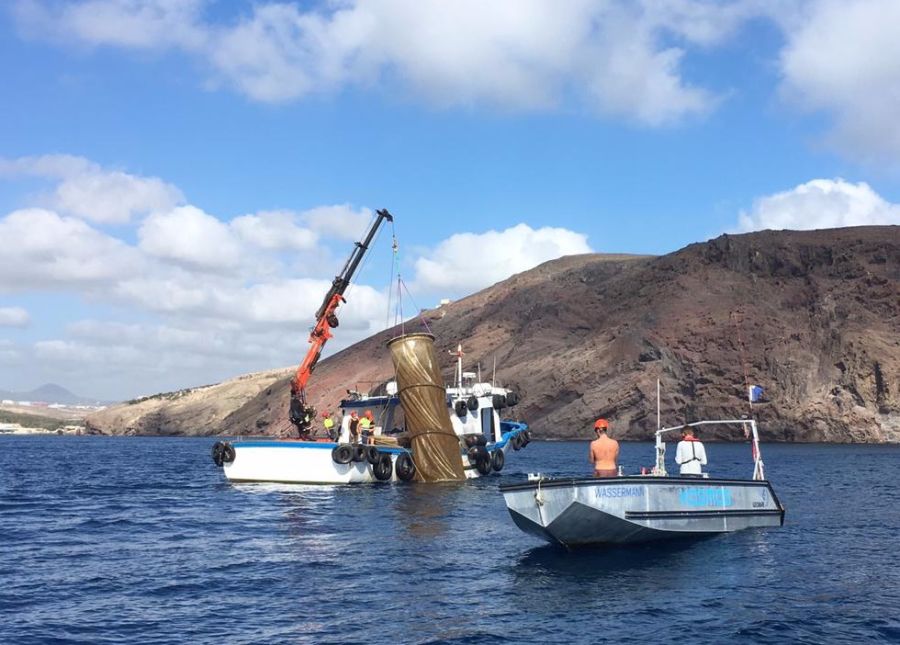 Recovery of the mesocosm bags