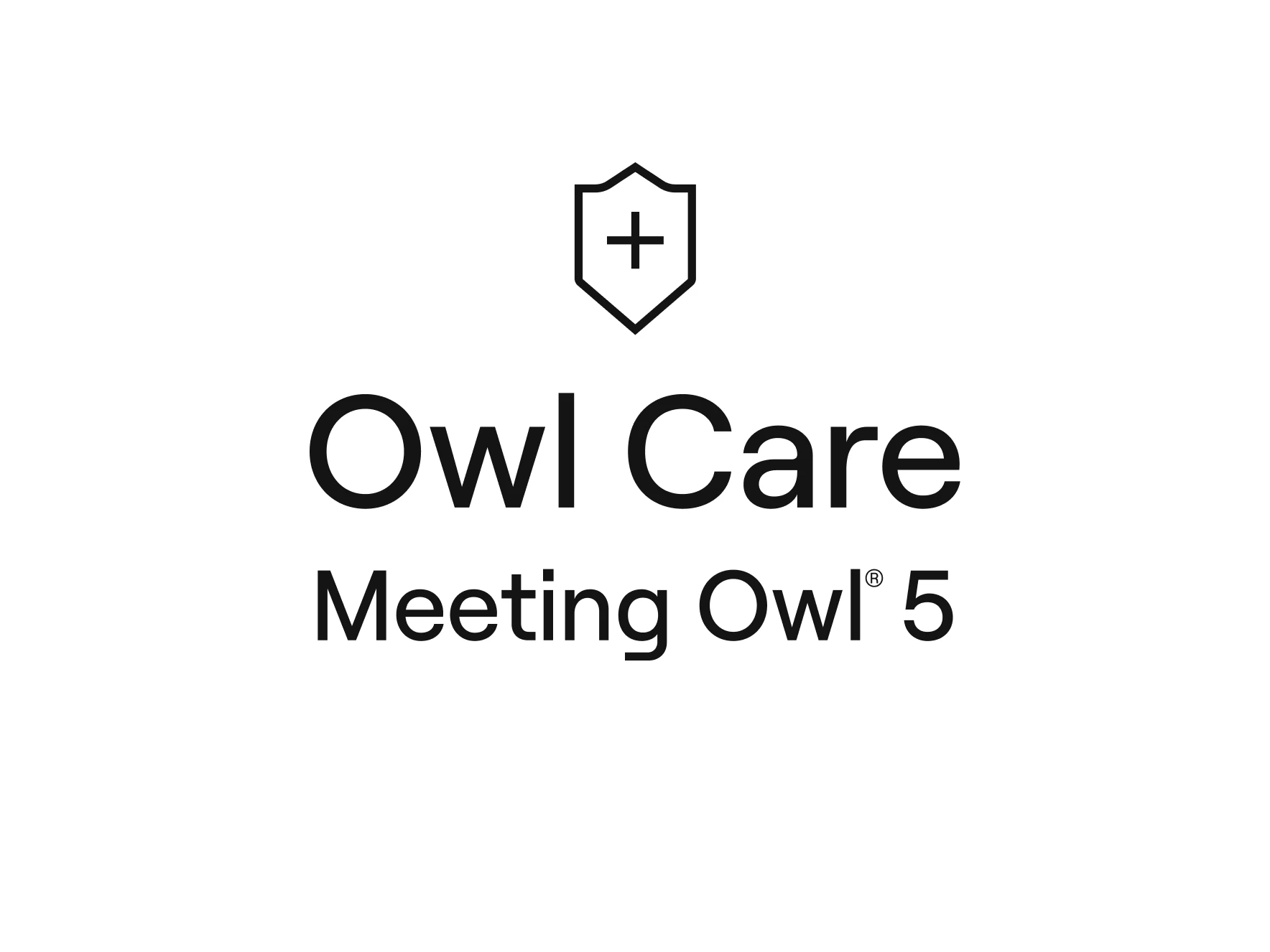 Meeting Owl 5 Owl Care