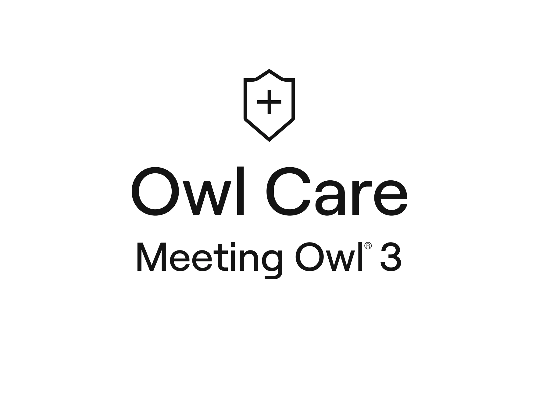 Meeting Owl 3 Owl Care