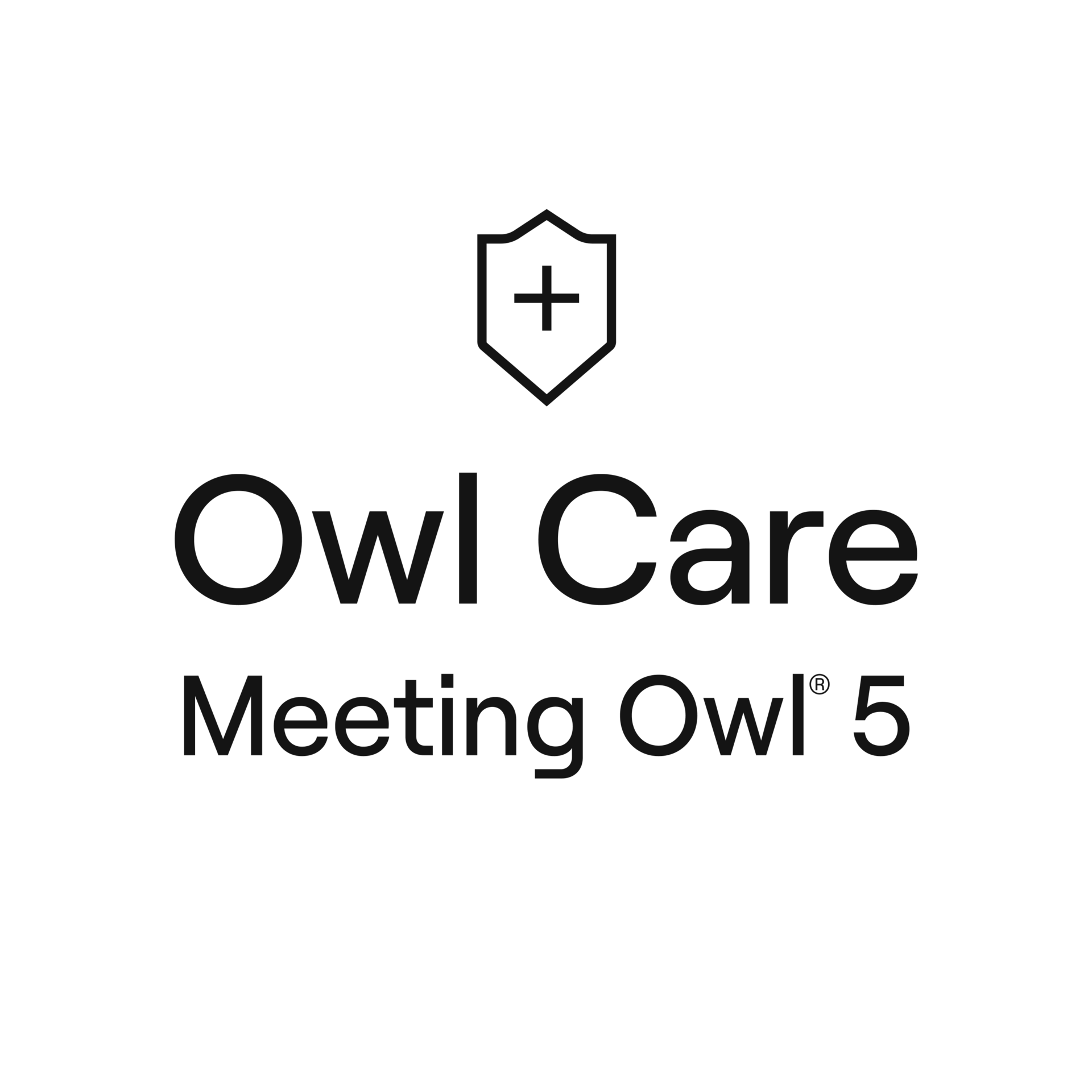 Accessory | Key Transparent Image | Owl Care Meeting Owl 5