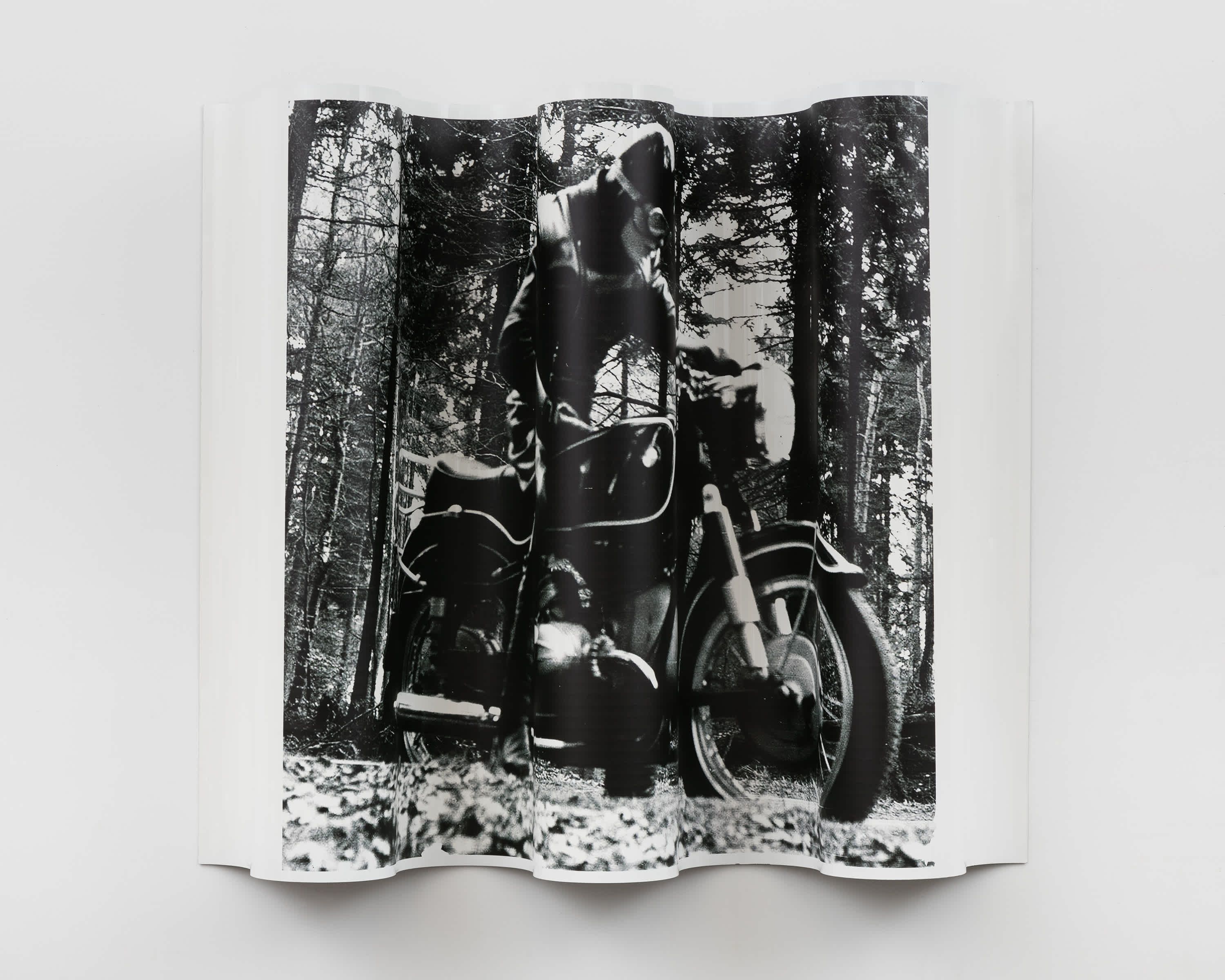Print, motorcyclist in the woods