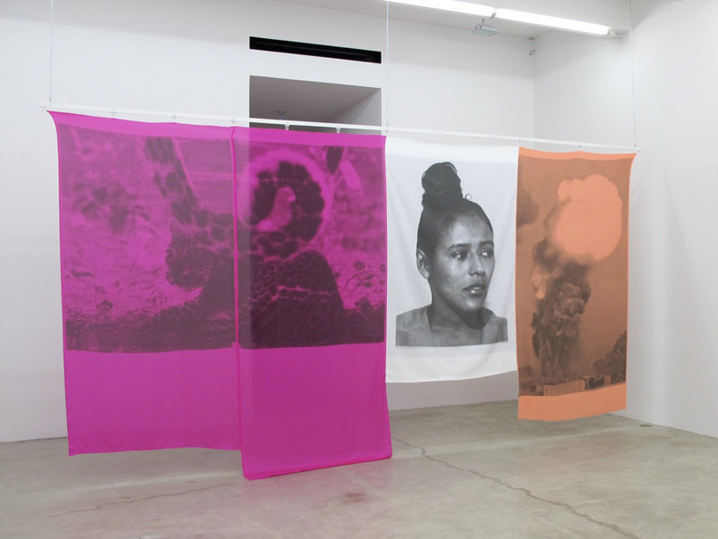 explosion, cheetah, Elaine 