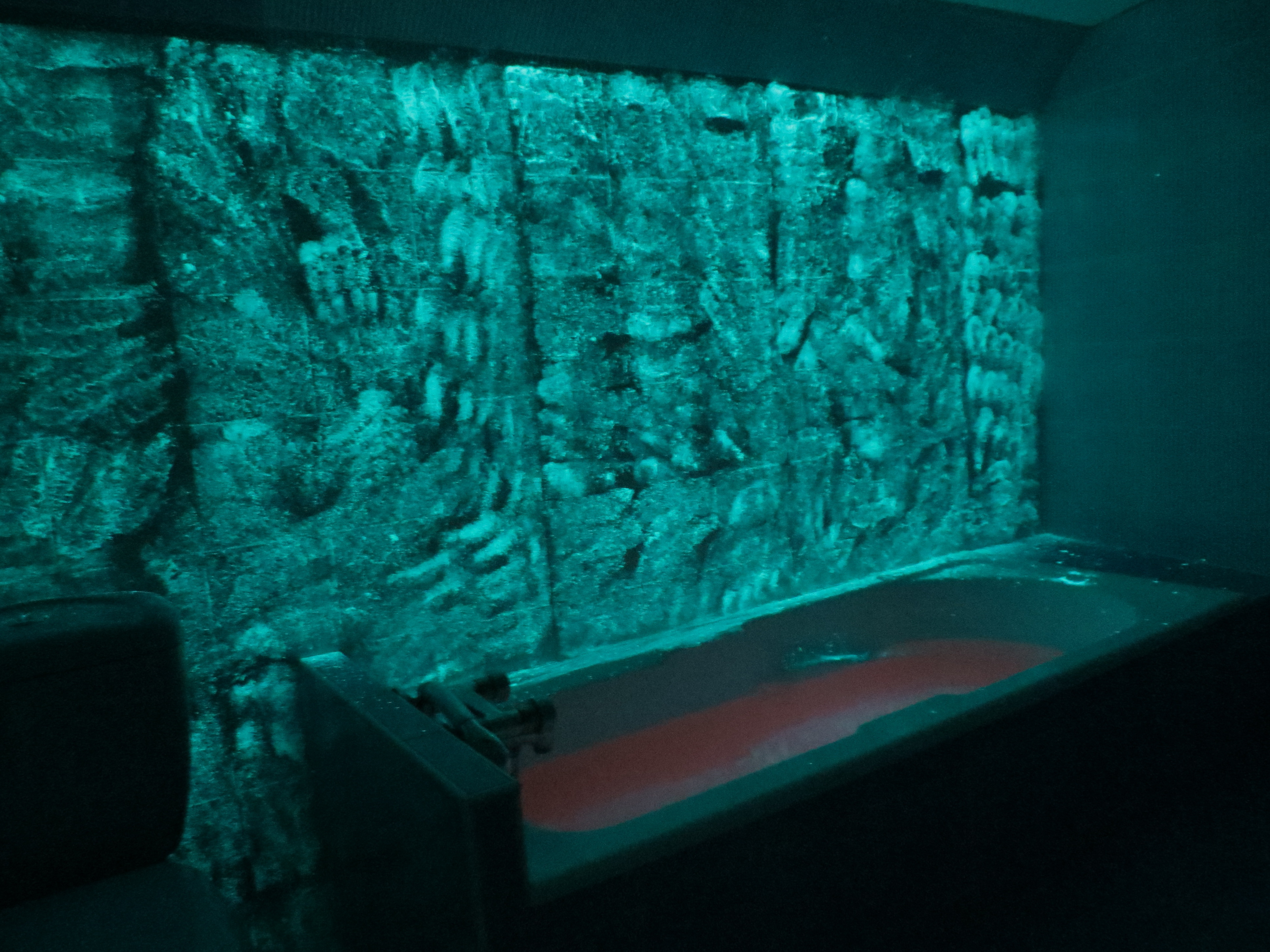 stl marseilles davina servane -3