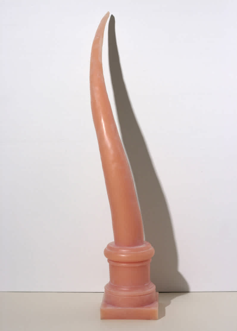 pink wax horn