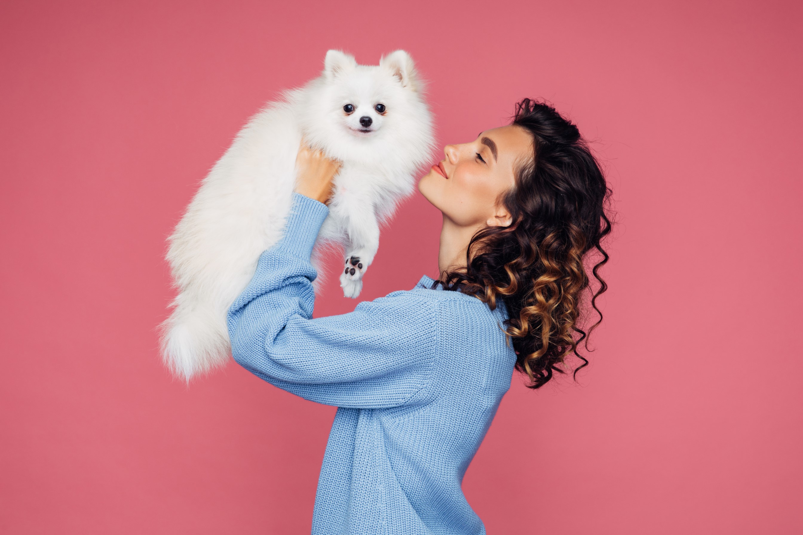 gettyimages-1306513984 perros 2