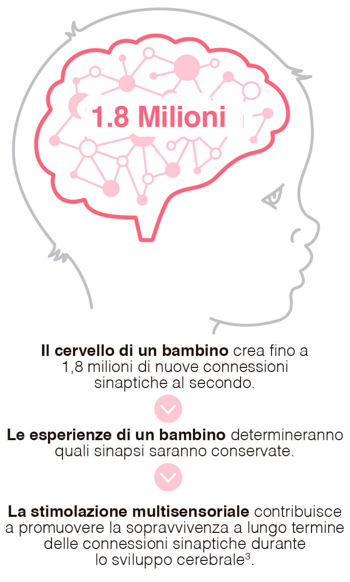 baby-brain-connections-r1 2