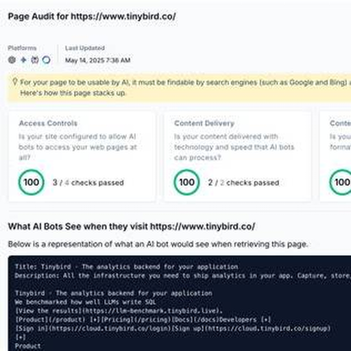 Screenshot from the Tinybird/Scrunch case study: page-audit view showing how AI bots can access and interpret Tinybird content.