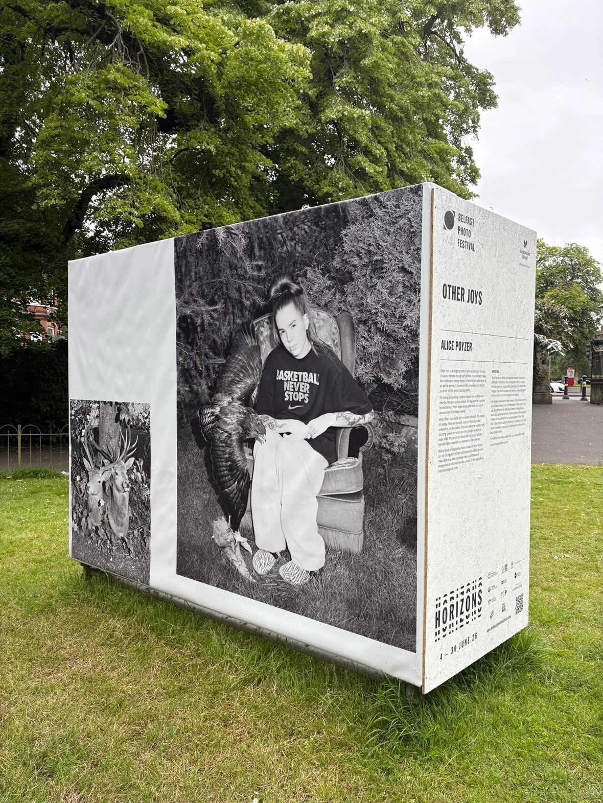 Other Joys by Alice Poyzer on display at Belfast Photo Festival throughout June.