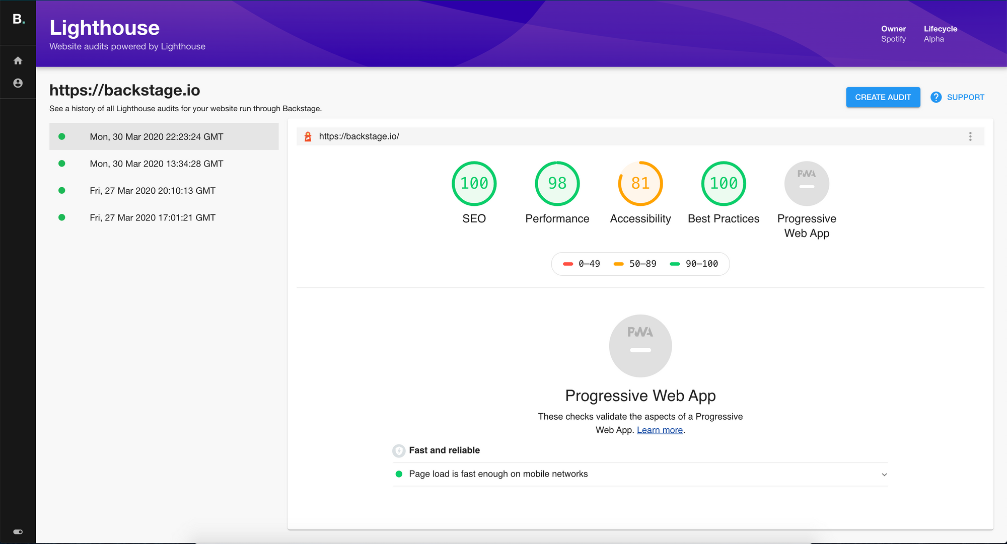 The audit view of a site in the Lighthouse plugin