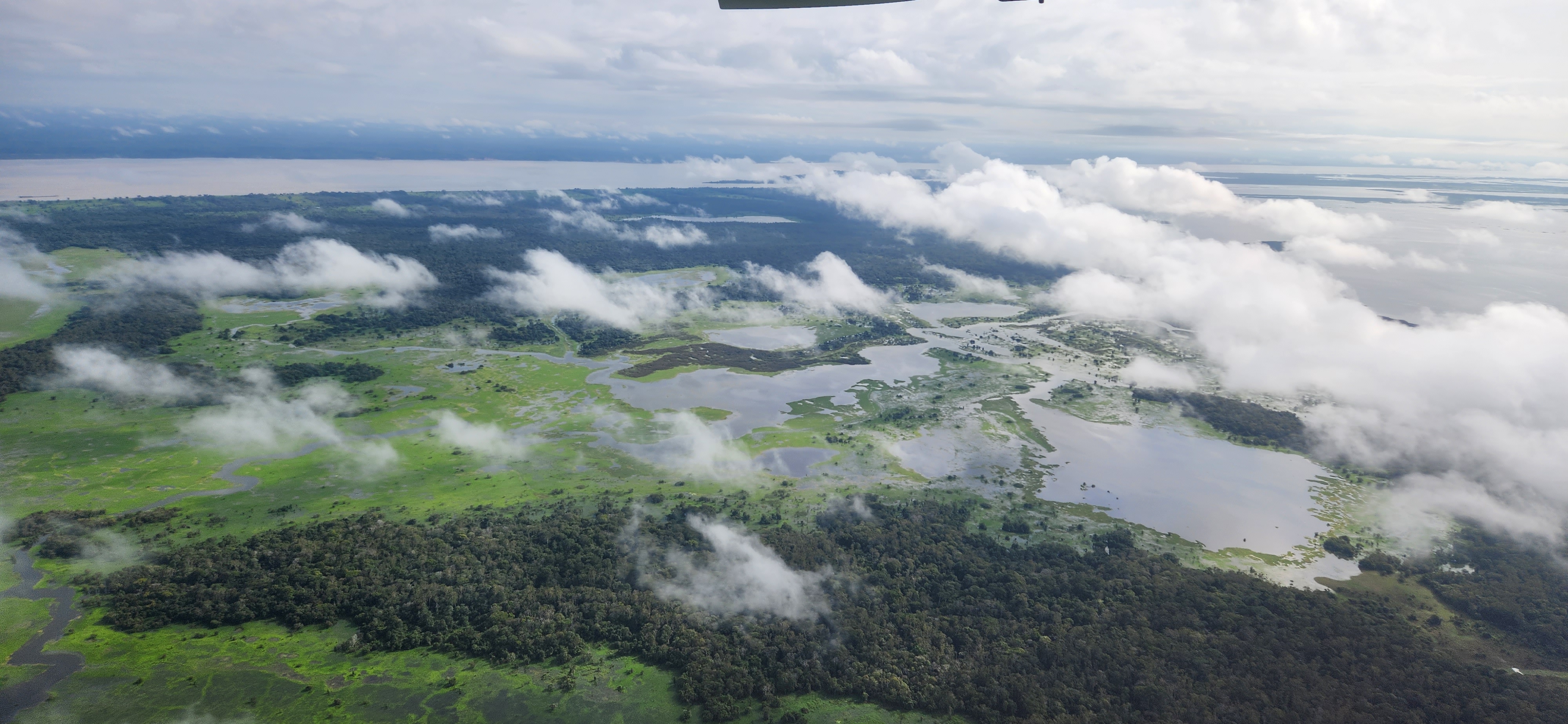 Homepage Presentation