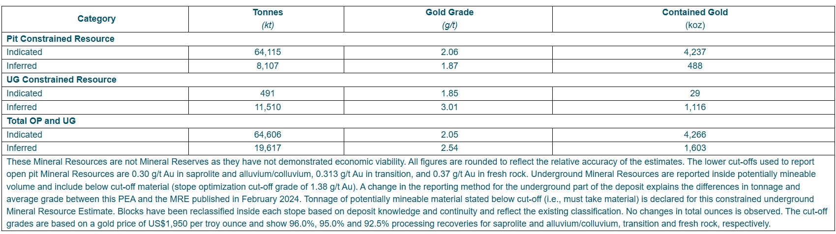 Table 4: Mineral Resource Estimate
