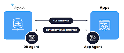 DB Agent Diagram
