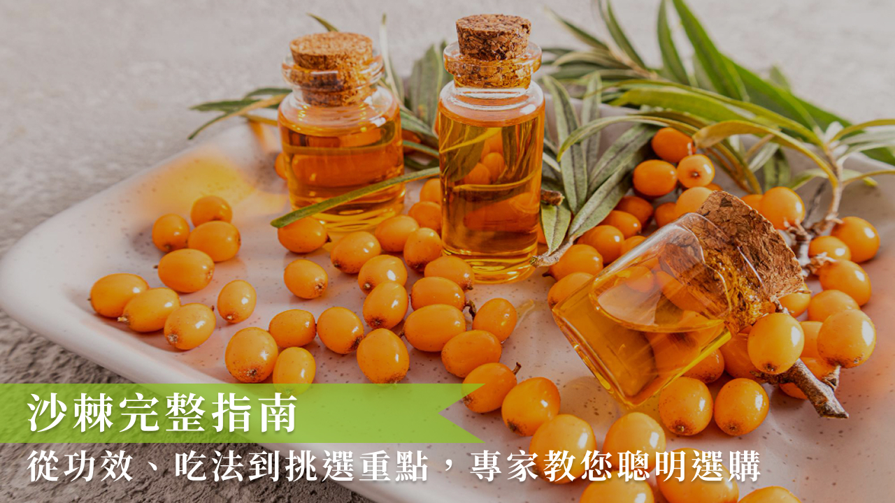 沙棘完整指南：從功效、吃法到挑選重點，專家教您聰明選購
