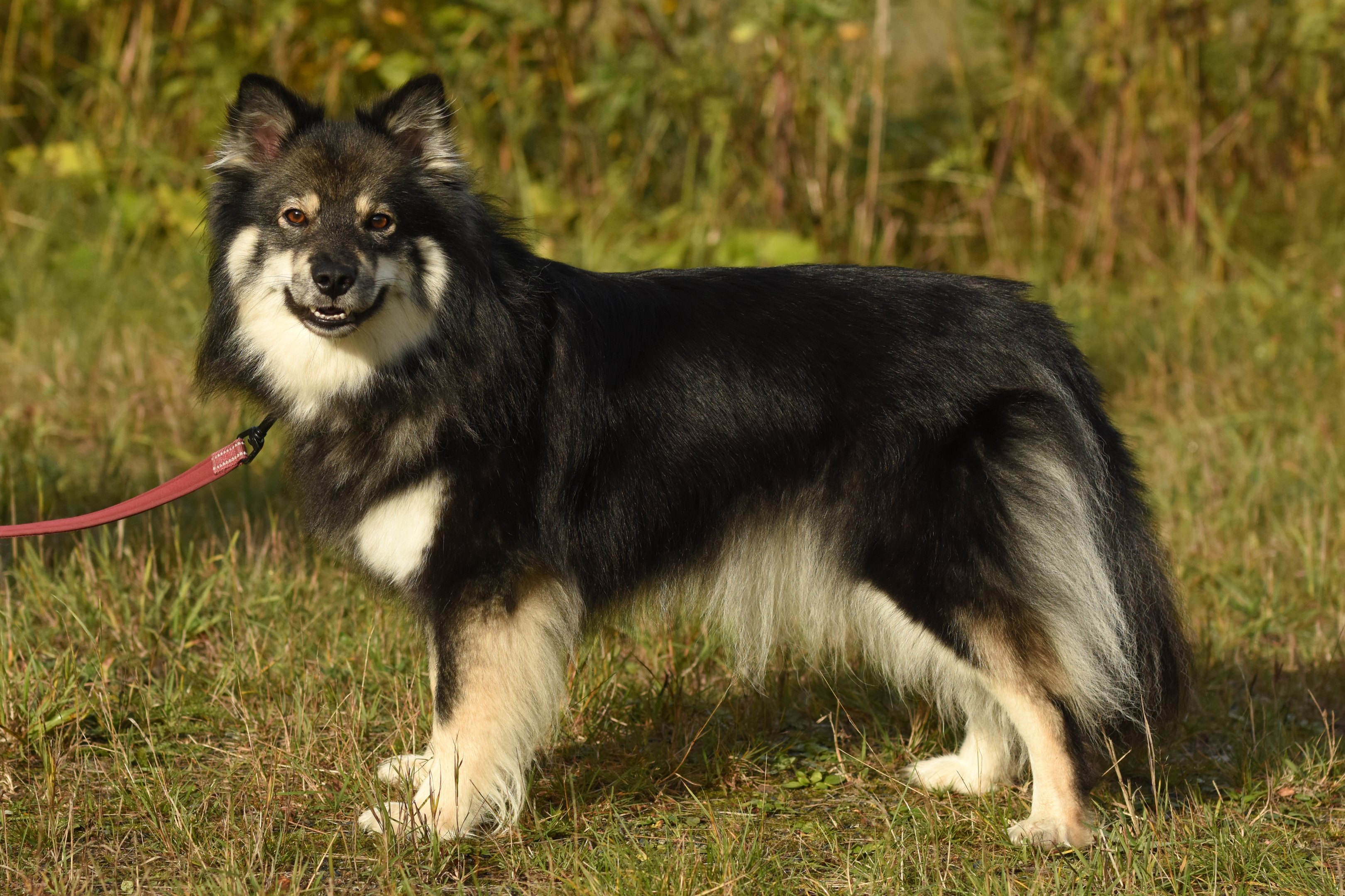 Kuvannut Sanna Parviainen