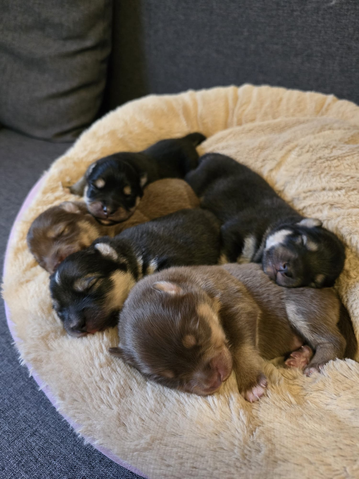 Kuvannut Jenna Kakko