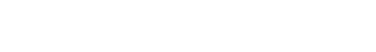 starship logo