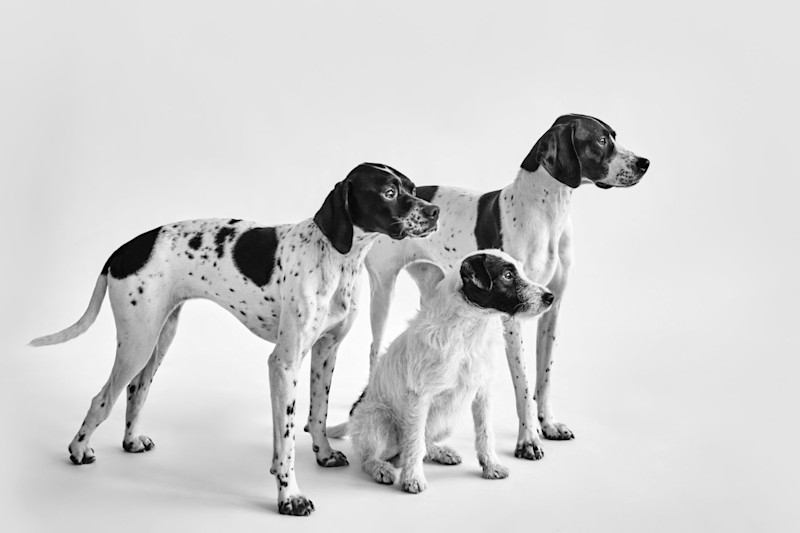 Capsule Collection - 16