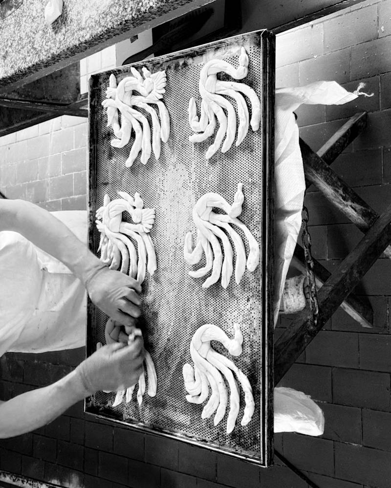 Kogut / “Rooster”