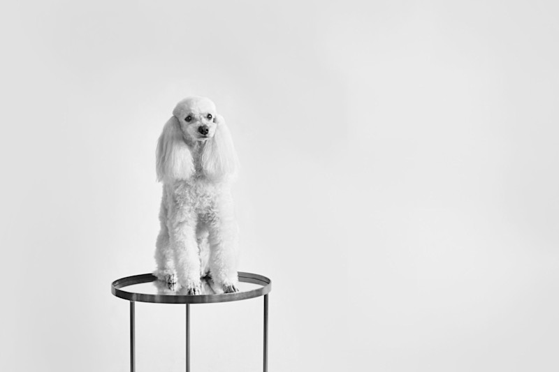 Capsule Collection - 18