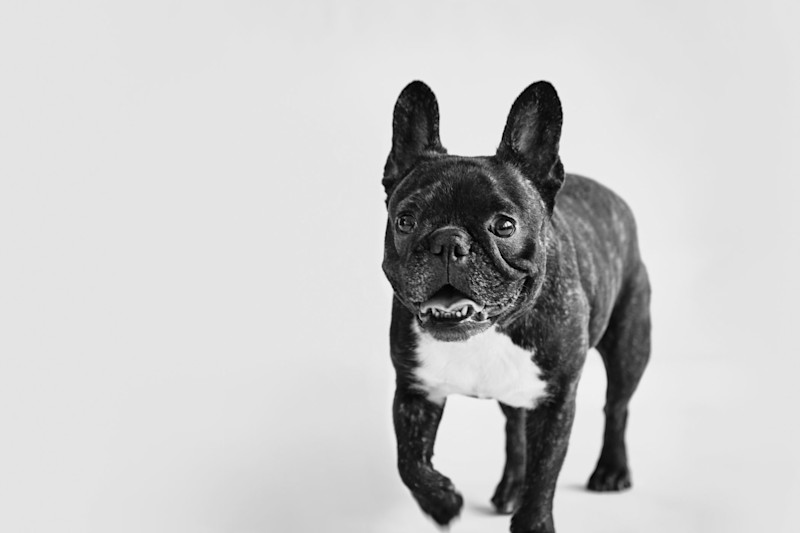 Capsule Collection - 12