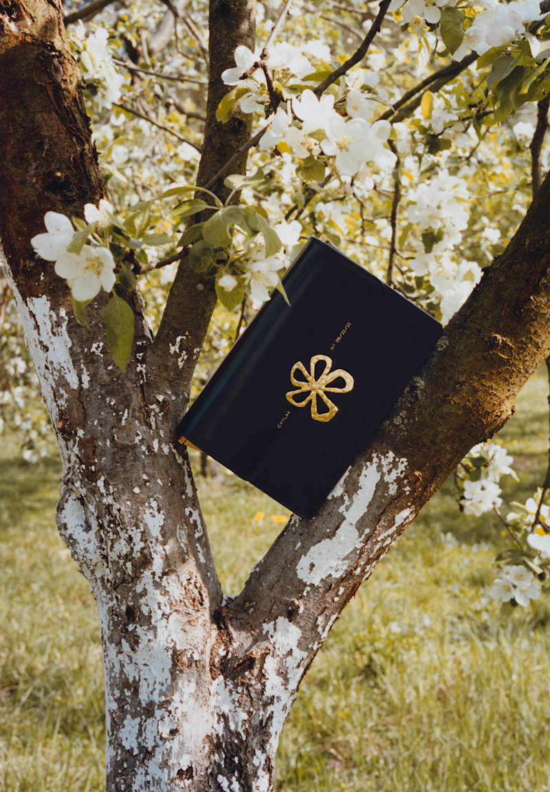 Spring Summer 2025 - 4