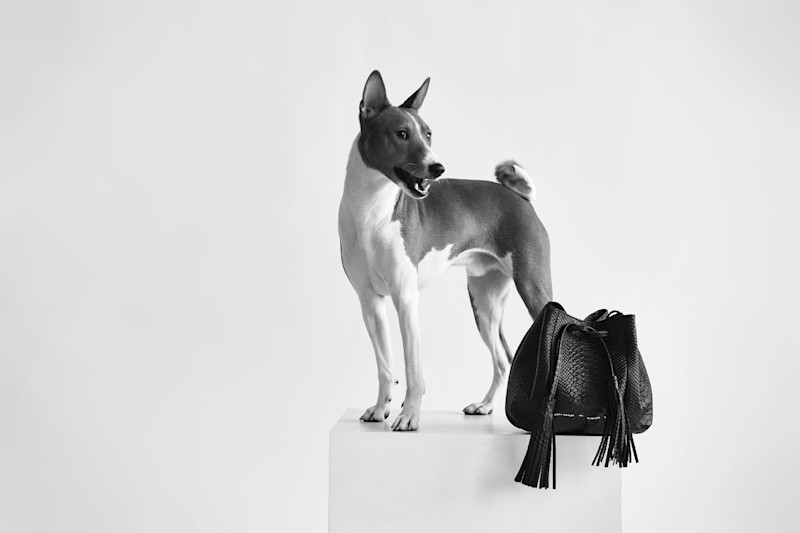 Capsule Collection - 19